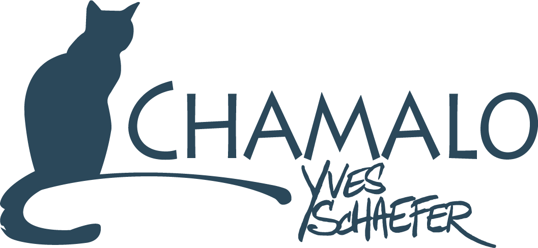 Des Images et des Mots